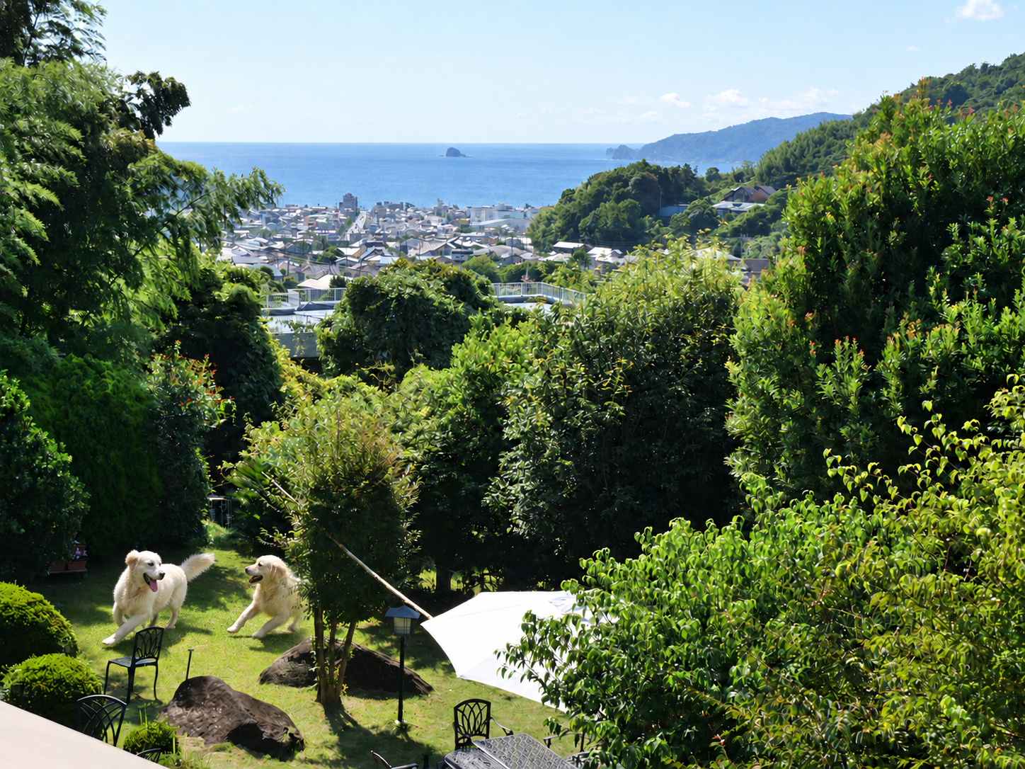 芝生の運動場と庭園灯、庭石のある犬舎の敷地の風景