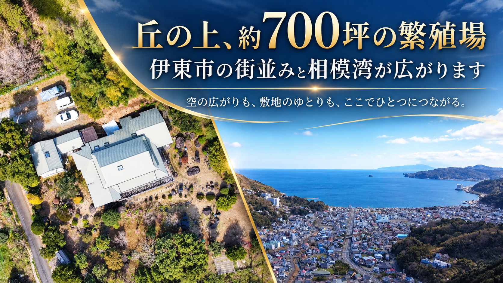 「丘の上、約700坪の繁殖場」「伊東市の街並みと相模湾が広がります」の見出しつきバナー。敷地と建物を真上からとらえた俯瞰写真と、丘の上から望む伊東市宇佐美の街並みと相模湾