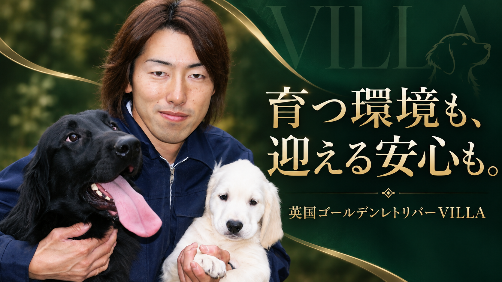 黒い成犬とクリーム色の子犬を抱くVILLAのスタッフ。「育つ環境も、迎える安心も。英国ゴールデンレトリバーVILLA」の文字入り