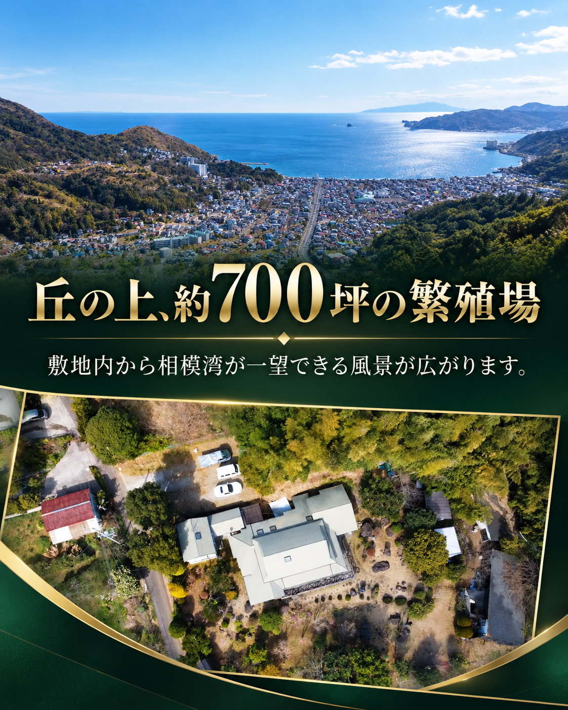 犬舎の敷地を上空から見た図。「丘の上、約700坪の繁殖場」「敷地内から相模湾が一望できる風景が広がります。」の文字入り