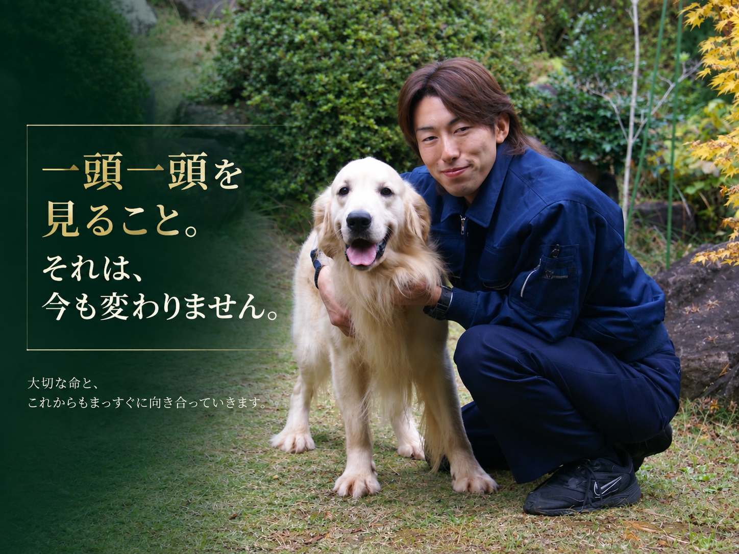 敷地の芝生で、英国系ゴールデンレトリーバーの成犬に寄り添う VILLA のスタッフ。「一頭一頭を見ること。それは、今も変わりません。」の文字入り