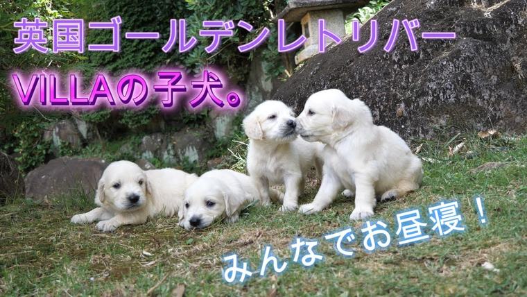 VILLAの動画のサムネイル
