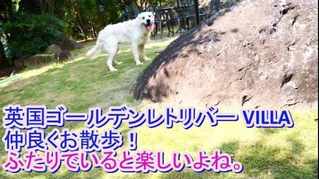 素敵な秋晴れのお散歩。の動画のサムネイル
